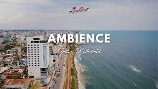 Andrew Rothschild - Ambience (Music Video)