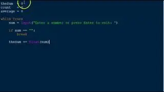 Python Calc Sum Average using infinite while loop