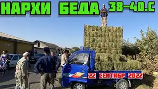 PRICE OF ALDE, COW, SHEEP, GOAT, SHIRTE, CURRENT PRICES IN SHAHRINAV, SEPTEMBER 22, 2022 🇹🇯✍️🤲
