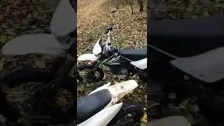 В лесу 