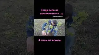 держись любимый, держись 😄