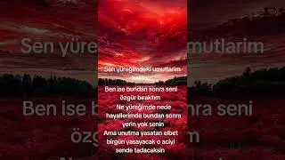 Kim ne yaşattısa aynısını yaşamadan ölmesin o acıyı oda tadsın