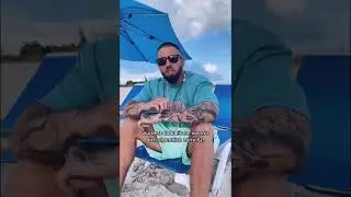 SILLA - WÜRDEST DU?! (Hörprobe) VÖ: 19.08.2022