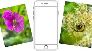 Foto Challenge med min Mobil   Macro billeder