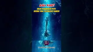 Penampakan Putri Duyung⁉️ #foryou #mermaid #fyp #viral #trending #subjectex