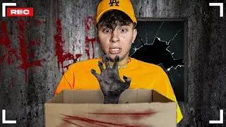 Mi è Arrivato un Pacco dal Deep Web...