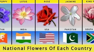 National Flowers Of Different Countries