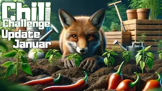 Die ersten Keimlinge sind da! Update Januar 🌶 Chili Challenge 2024