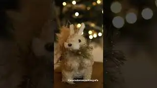Ensaio de Natal em BH