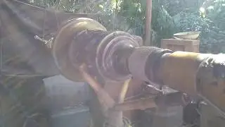 Playing Around At Tarzan's Treehouse