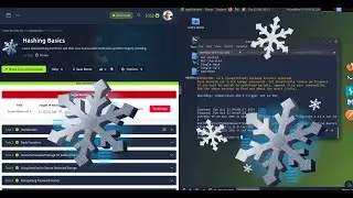 🔐🔐 Hashing Basics: Password Protection & Data Integrity Explained | TryHackMe Cyber Security 101 🔐🔐