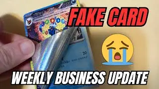 Fake Umbreon Card Scam! Pokémon Card Business Update