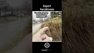 Aerokinesis (Playing with a bush)