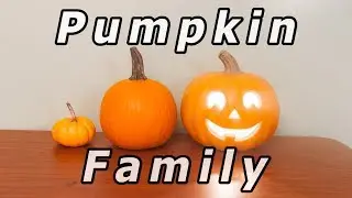 Animation en volume - La famille citrouille