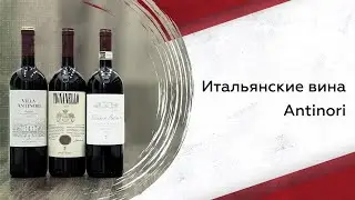 Italian wines Antinori