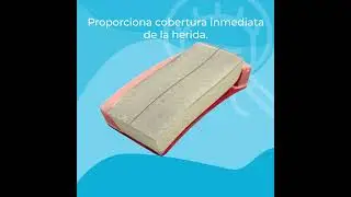 Características de Piel de Integra