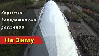Укрытие декоративных растений - 