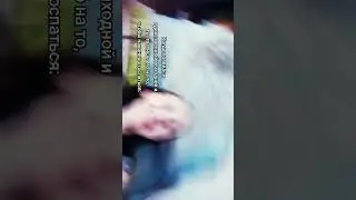 А на что вы тратите свой выходной?#monikahargreeves #monikarsikorskaya #сон #выходной #каникулы #рек