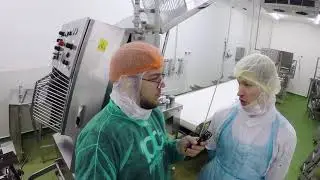 РЫБНЫЙ ЗАВОД В ПОЛЬШЕ КАК ОН ЕСТЬ