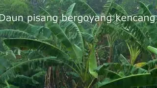 Pertemuan 10 - Topik 3 Penambahan Teks ke Video dengan Filter Text