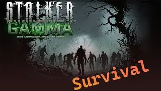 Stalker GAMMA zombie survival!