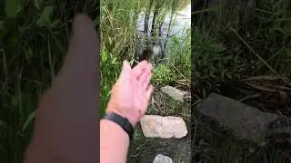 Поймал отпусти