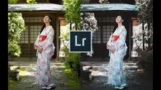 Lightroom Basics
