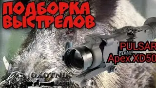 Выстрелы с тепловизионного прицела PULSAR Apex XD50