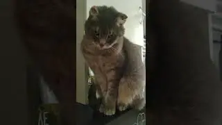 А ты такой....красивый ...