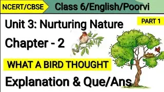 Class 6 English | What a Bird Thought | Question Answer | Unit 3 Nurturing Nature | Poorvi