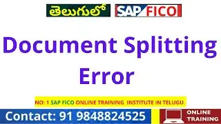 SAP FICO  - Document Splitting Error - SAP FICO Error Resolution - SAP FICO Error Solution