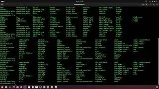 Command line tricks on linux terminal and vi edit and save