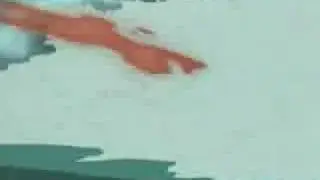 Lawst-In Pain