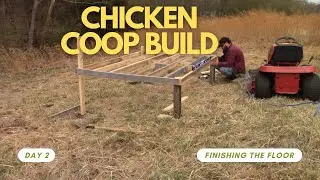 Chicken Coop Build Day 2 Finishing The Floor