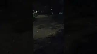 ночная прогулка перед сном