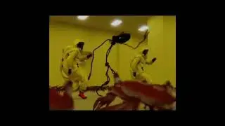 закулисье танец с крабами и монстром