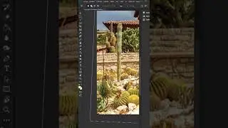 Photoshop'ta Fotoğraflar Arasında Renk Uyumu Yapmak! 🔥