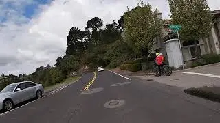 Grizzly road