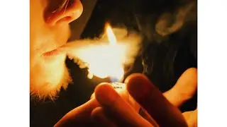 Lil Wings, MCDM, MILI4FILI - HARA prod. Zach Sutton (Directed by Limerence Films)