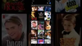 Netflix action bar (or "app bar") behavior on Android 11