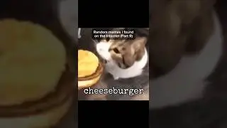 Random memes I found on the Internet (Part 9) 