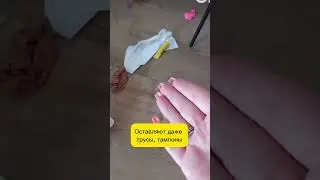 Испанские горничные в шоке от того, в каком состоянии туристы оставляют номера #новостииспании