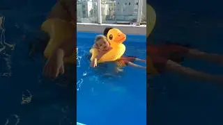 Enjoying the Afternoon at the Swimming 🏊‍♂️🏊‍♀️ Pool