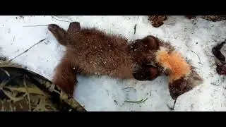 14 ноября 2024 г.