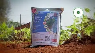 Food for GOOD! Starter veggie pack - the solution to fight hunger.