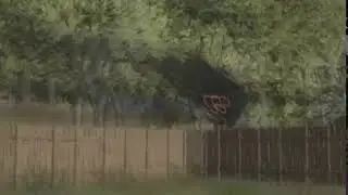 Quand il n'y a plus de gravité
