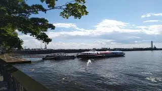 Кронштадт отпуск на 1 день