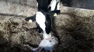 Баракати Аллохи мехрубон.