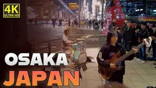 Namba Osaka Metro Market | Japan Walktour