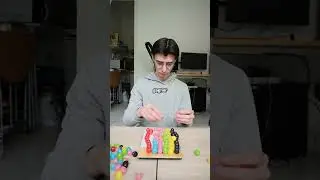 How many Dragibus are there?